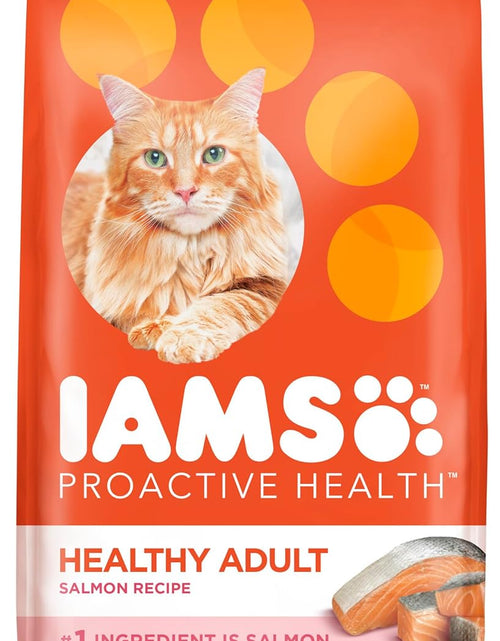 Load image into Gallery viewer, PROACTIVE HEALTH Adult Healthy Dry Cat Food with Salmon Cat Kibble, 7 Lb. Bag
