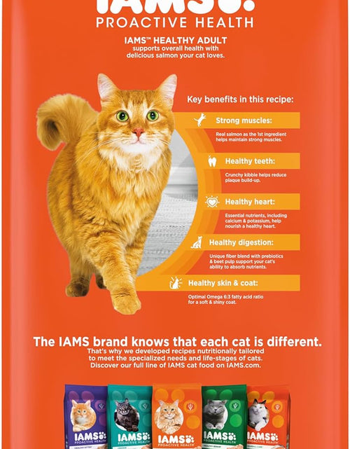 Load image into Gallery viewer, PROACTIVE HEALTH Adult Healthy Dry Cat Food with Salmon Cat Kibble, 7 Lb. Bag
