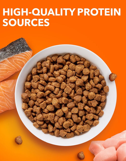 Load image into Gallery viewer, PROACTIVE HEALTH Adult Healthy Dry Cat Food with Salmon Cat Kibble, 7 Lb. Bag
