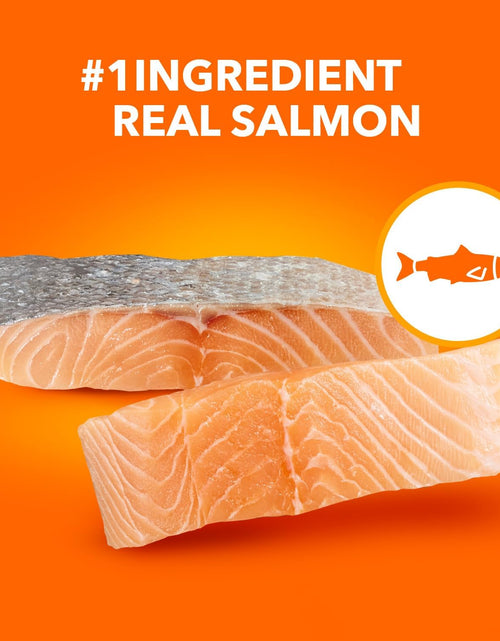 Load image into Gallery viewer, PROACTIVE HEALTH Adult Healthy Dry Cat Food with Salmon Cat Kibble, 7 Lb. Bag
