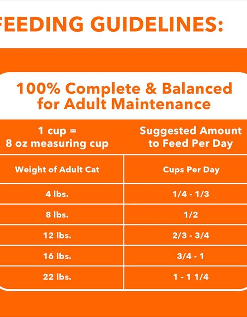 Load image into Gallery viewer, PROACTIVE HEALTH Adult Healthy Dry Cat Food with Salmon Cat Kibble, 7 Lb. Bag
