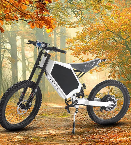 New Style Super Bomber 3000W Power Electric City Bike 48V 20AH Lithium Battery 20 Inch Tires  for Adults