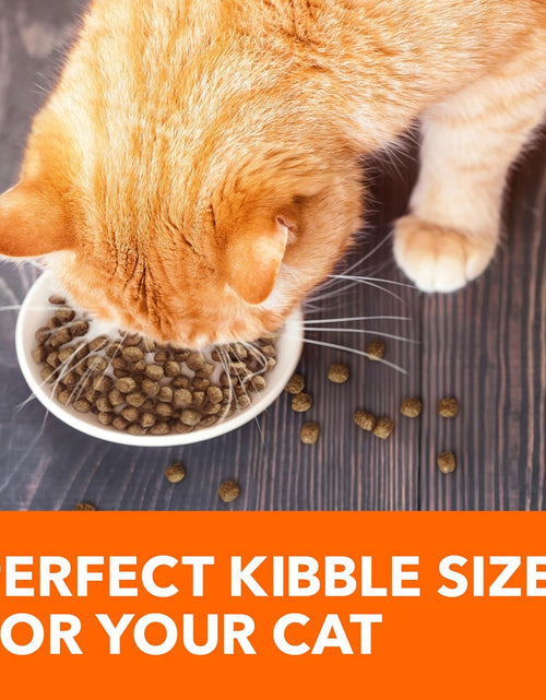 Load image into Gallery viewer, PROACTIVE HEALTH Adult Healthy Dry Cat Food with Salmon Cat Kibble, 7 Lb. Bag
